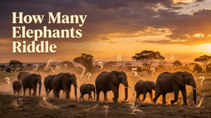 How Many Elephants Riddle